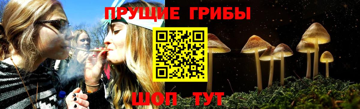 Псилоцибиновые грибы Magic Shrooms Ефремов