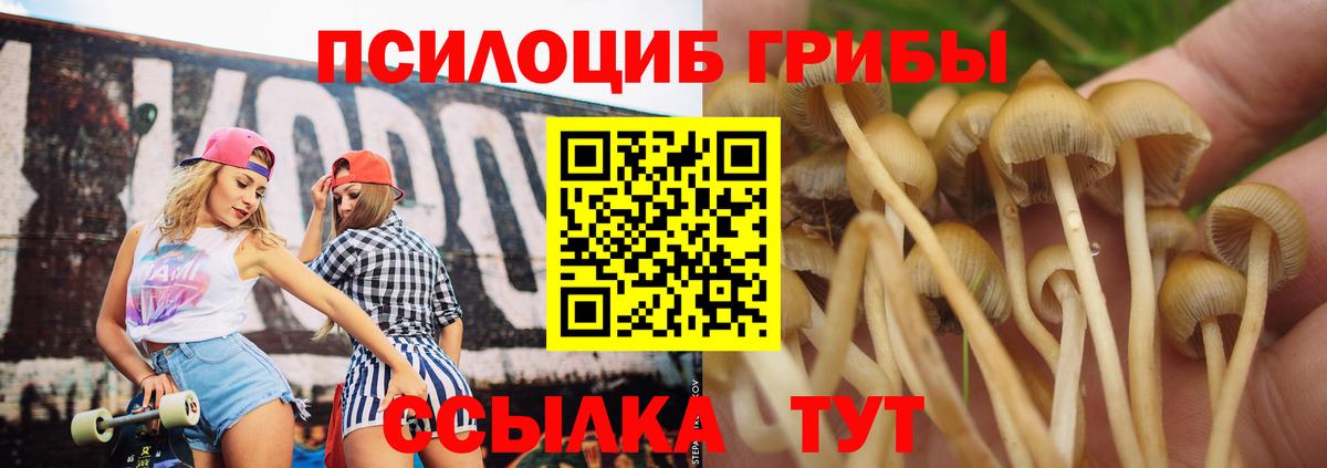 Псилоцибиновые грибы Psilocybine cubensis  Вход с VPN  Ефремов 
